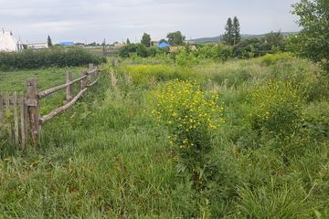 Земельный участок, обл. Акмолинская, р-н Бурабайский, с.о. Катаркольский, с. КАТАРКОЛЬ, ул. Пушкина, д. 9, (РКА0201300131194508),общей площадью 0,0730 га, кадастровый номер 01:171:010:252,  согласно отчет НОК, подготовленного ТОО "DV Appraisal" №2026-63/11/44 от 15.06.2026 года, рыночная стоимость имущества составила 3 313 000 тенге