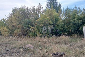 Столярный цех, общей площадью - 201,9 кв.м., с земельным участком на праве частной собственности, площадью - 0,0517 га. КН 01:171:008:748. Адрес: обл. Акмолинская, р-н Бурабайский, с.о. Златопольский, с. Златополье, Наименование оценщика ТОО DV APPRAISAL, Номер отчета 2026-63-11/177-3, Дата отчета 14.09.2026, Оценочная cтоимоcть 10 849 000тг.