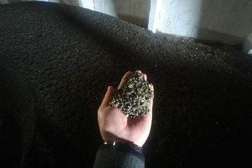 Семена подсолнечника (зерновая культура). Количество: 11 тонн 190 кг. Местонахождение: Республика Казахстан, Северо-Казахстанская область, Тайыншинский район, Краснополянский сельский округ, село Красная поляна. Согласно отчету об оценке, подготовленному ТОО «DV Appraisal» №2026-63-11/190 от 28.09.2026 года, рыночная стоимость имущества составляет 2 779 000 (два миллиона семьсот семьдесят девять тысяч) тенге 00 тиын.