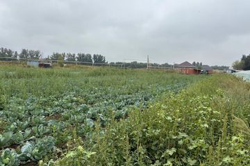 Ауданы 2,34 га жер учаскесі, кадастрлық нөмірі: 03:047:203:1208, нысаналы мақсаты: тауарлы ауыл шаруашылығы өндірісін жүргізу үшін, орналасқан мекенжайы: Алматы облысы, Қарасай ауданы, Қаскелең қаласы, «АКХ Ленинский» шаруа қожалығы, 1208-учаске. (РКА2202500007014330)