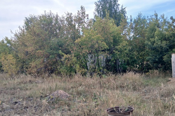 Столярный цех, общей площадью - 201,9 кв.м., с земельным участком на праве частной собс…
