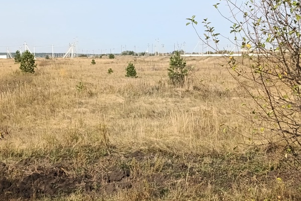 Земельный участок, расположенный по адресу: Костанайская обл., Мендыкаринский район, Кр…