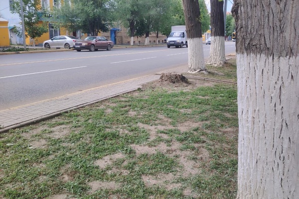 Земельный участок коммерческого назначения, расположенный по адресу: ЗКО, г. Уральск, н…