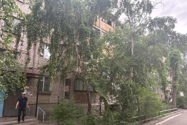 Трехкомнатная квартира общей площадью 71,3 кв. м с земельным участком площадью 0,0039 г…