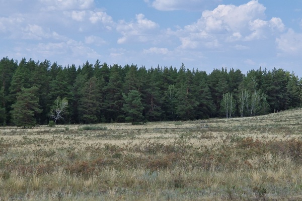 Земельный участок, обл. Акмолинская, р-н Биржан Сал, с.о. Ульгинский
