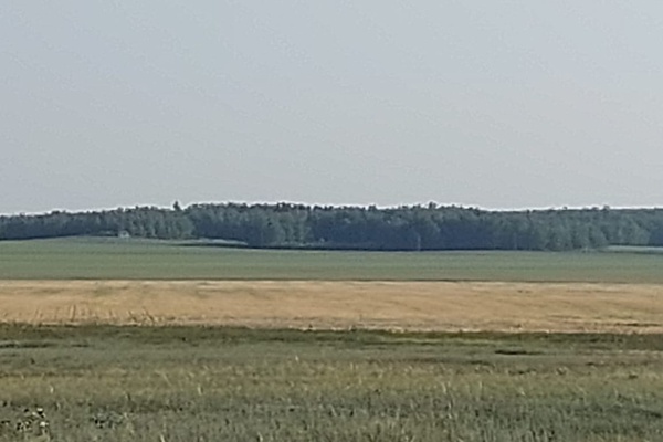 Земельный участок, обл. Акмолинская, р-н Биржан Сал, с.о. Ульгинский