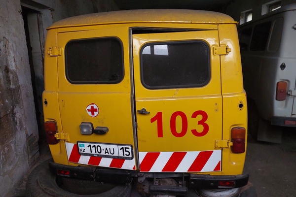 Автомобиль УАЗ 396295, регистрационный номер 110AU15