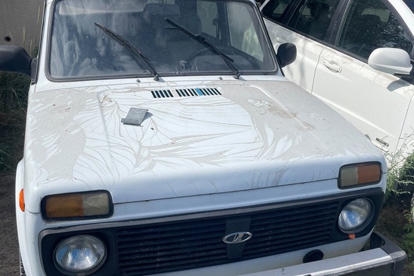 Легковой автомобиль марки LADA 21214, регистрационный номер 019818
