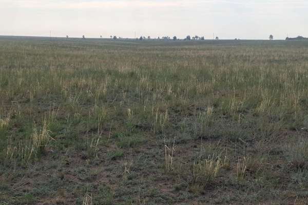 Земельный участок по адресу область Абай, Бескарагайский район, Жетижарский сельский ок…