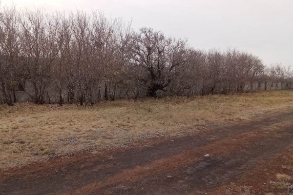 Недвижимоcть: Здание склада на машинном дворе