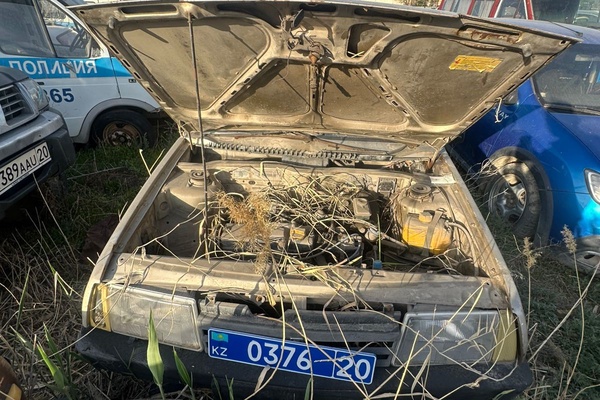 АВТОМОБИЛЬ "ВАЗ 21099"