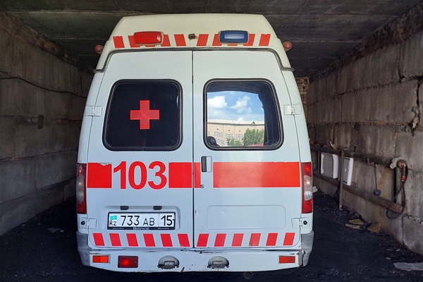 Автомобиль ГАЗ 27057 244, регистрационный номер 733AВ15