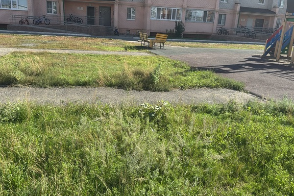 Земельный участок для установки павильона для продажи фруктов и овощей
