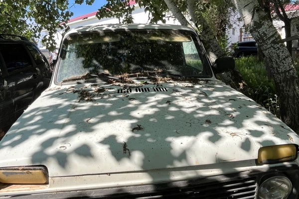 Автомобиль "LADA 21214"