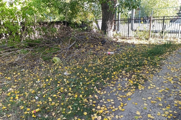 Земельный участок для обслуживания зданий (строений и сооружений) субъектов малого пред…