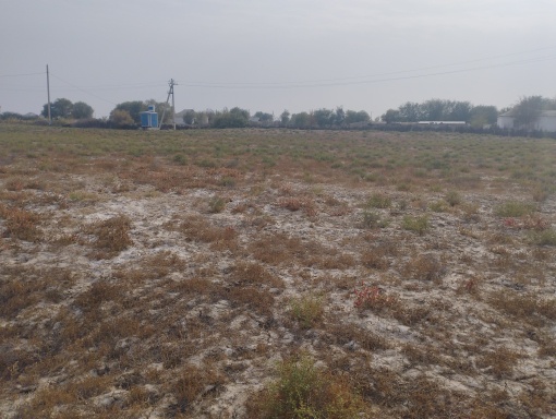 Приказ на создание объекта (12.10.2026) – на основании постановления акимата Отырарског…