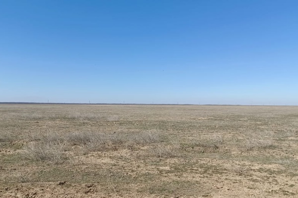 Земельный участок коммерческого назначения, расположенный по адресу: Шуский район село…